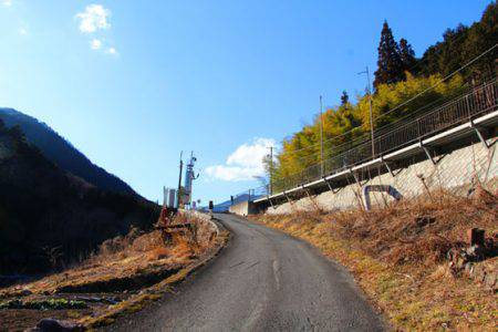 小菅トラウトガーデン 釣果