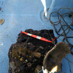 第五慶門丸 釣果