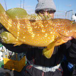 真祐丸 （しんゆうまる） 釣果