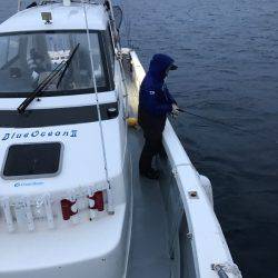 BlueOcean(ブルーオーシャン) 釣果