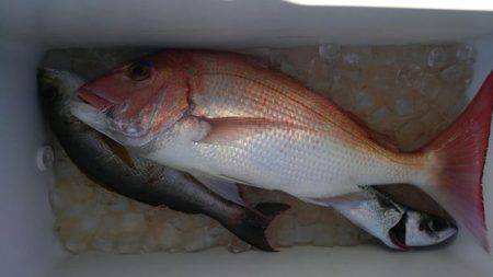 遊漁船 新鋭丸 釣果