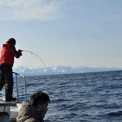 八海丸 釣果