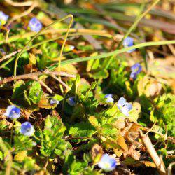 小菅トラウトガーデン 釣果