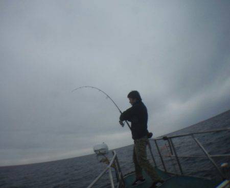 秀漁丸 釣果