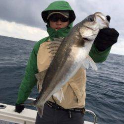 シーモンキー 釣果