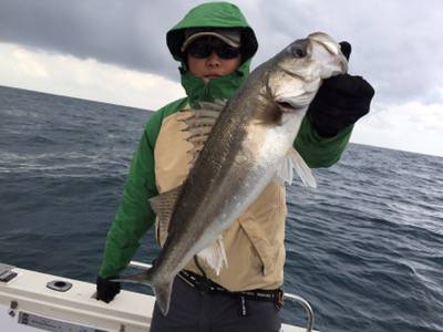 シーモンキー 釣果