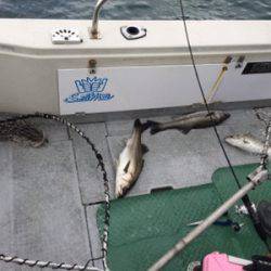 シーモンキー 釣果