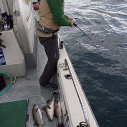 シーモンキー 釣果