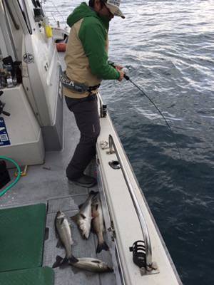 シーモンキー 釣果