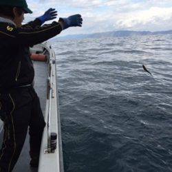 シーモンキー 釣果