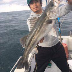 シーモンキー 釣果