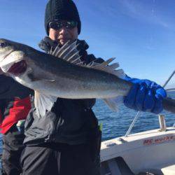 シーモンキー 釣果