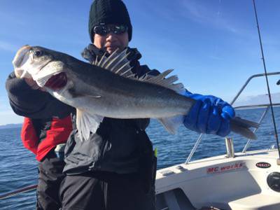 シーモンキー 釣果