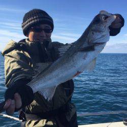 シーモンキー 釣果