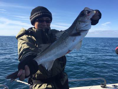 シーモンキー 釣果