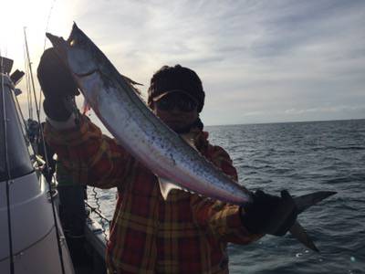 シーモンキー 釣果