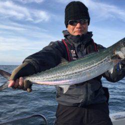 シーモンキー 釣果