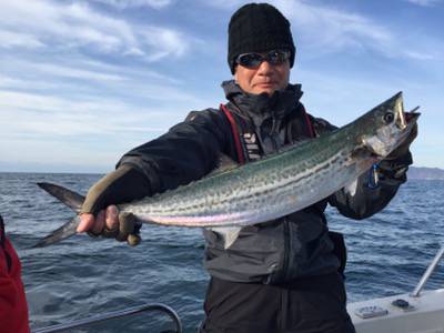 シーモンキー 釣果