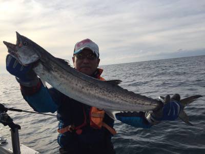 シーモンキー 釣果