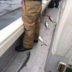 シーモンキー 釣果