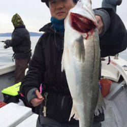 シーモンキー 釣果