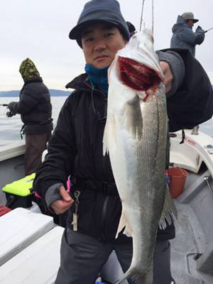 シーモンキー 釣果