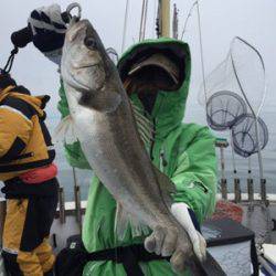 シーモンキー 釣果