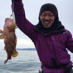 シーモンキー 釣果