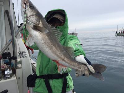 シーモンキー 釣果