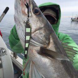 シーモンキー 釣果