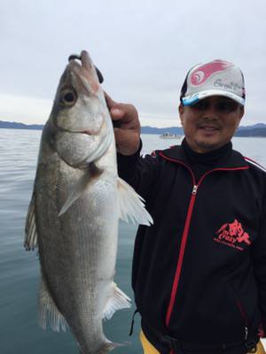 シーモンキー 釣果