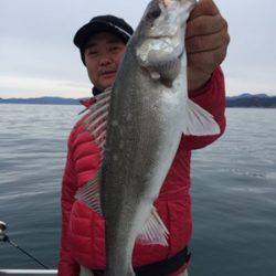 シーモンキー 釣果