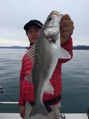 シーモンキー 釣果