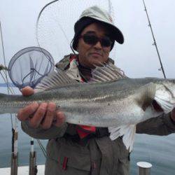 シーモンキー 釣果