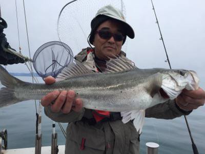 シーモンキー 釣果