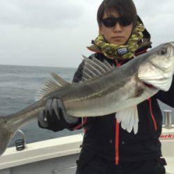 シーモンキー 釣果