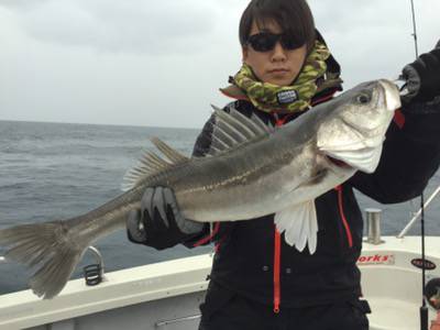 シーモンキー 釣果