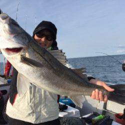 シーモンキー 釣果