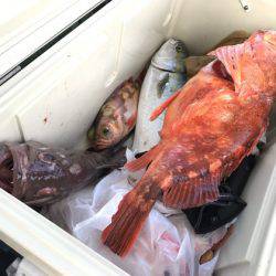 寿裕 (YOSHIHIRO) 釣果