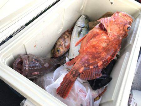 寿裕 (YOSHIHIRO) 釣果