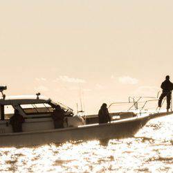 ジギング船　全国の140隻