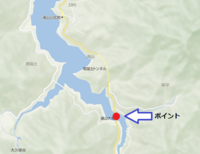 秩父フライフィールド 釣果