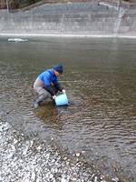 秩父フライフィールド 釣果