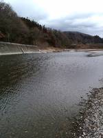 秩父フライフィールド 釣果