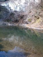 秩父フライフィールド 釣果