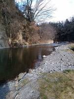 秩父フライフィールド 釣果