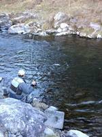 秩父フライフィールド 釣果