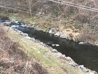 秩父フライフィールド 釣果