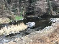 秩父フライフィールド 釣果