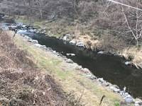 秩父フライフィールド 釣果